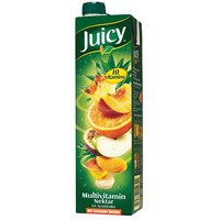 JUICY voćni sokovi multivitamin nektar 1L