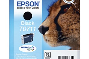 Patrona Epson Stylus D78, orig