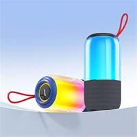 BWOO Bluetooth IPX7 zvučnik Camping BT 5.4