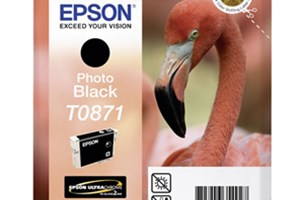 Patr.Epson Sty.Ph.R1900, orig