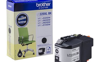 Patrona Brother LC-229, origin