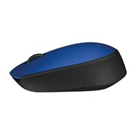 Wireless Mouse M171 