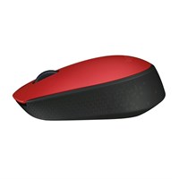 Wireless Mouse M171 