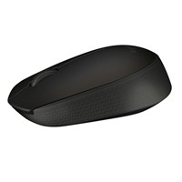 Wireless Mouse M171 