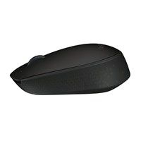 Wireless Mouse M171 