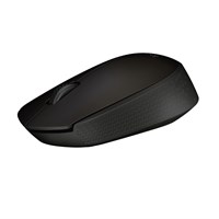 Wireless Mouse M171 