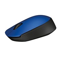 Wireless Mouse M171 