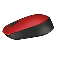 Wireless Mouse M171 