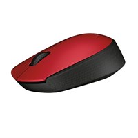 Wireless Mouse M171 