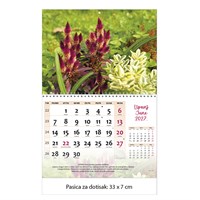 Zidni kalendar CVIJEĆE