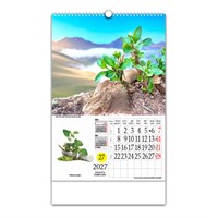 Zidni kalendar LJEKOVITO BILJE