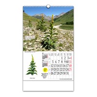 Zidni kalendar LJEKOVITO BILJE