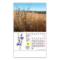 Zidni kalendar LJEKOVITO BILJE