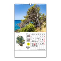 Zidni kalendar LJEKOVITO BILJE