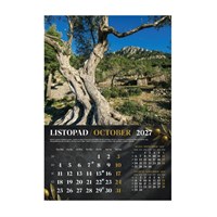 Zidni kalendar MASLINE