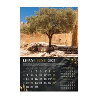 Zidni kalendar MASLINE