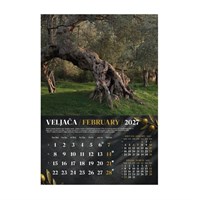 Zidni kalendar MASLINE