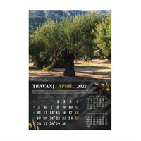 Zidni kalendar MASLINE