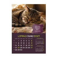 Zidni kalendar ZRNCE MUDROSTI